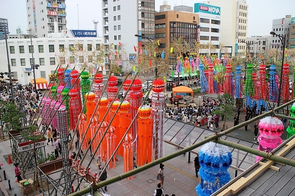 半ビジ半プラ日記